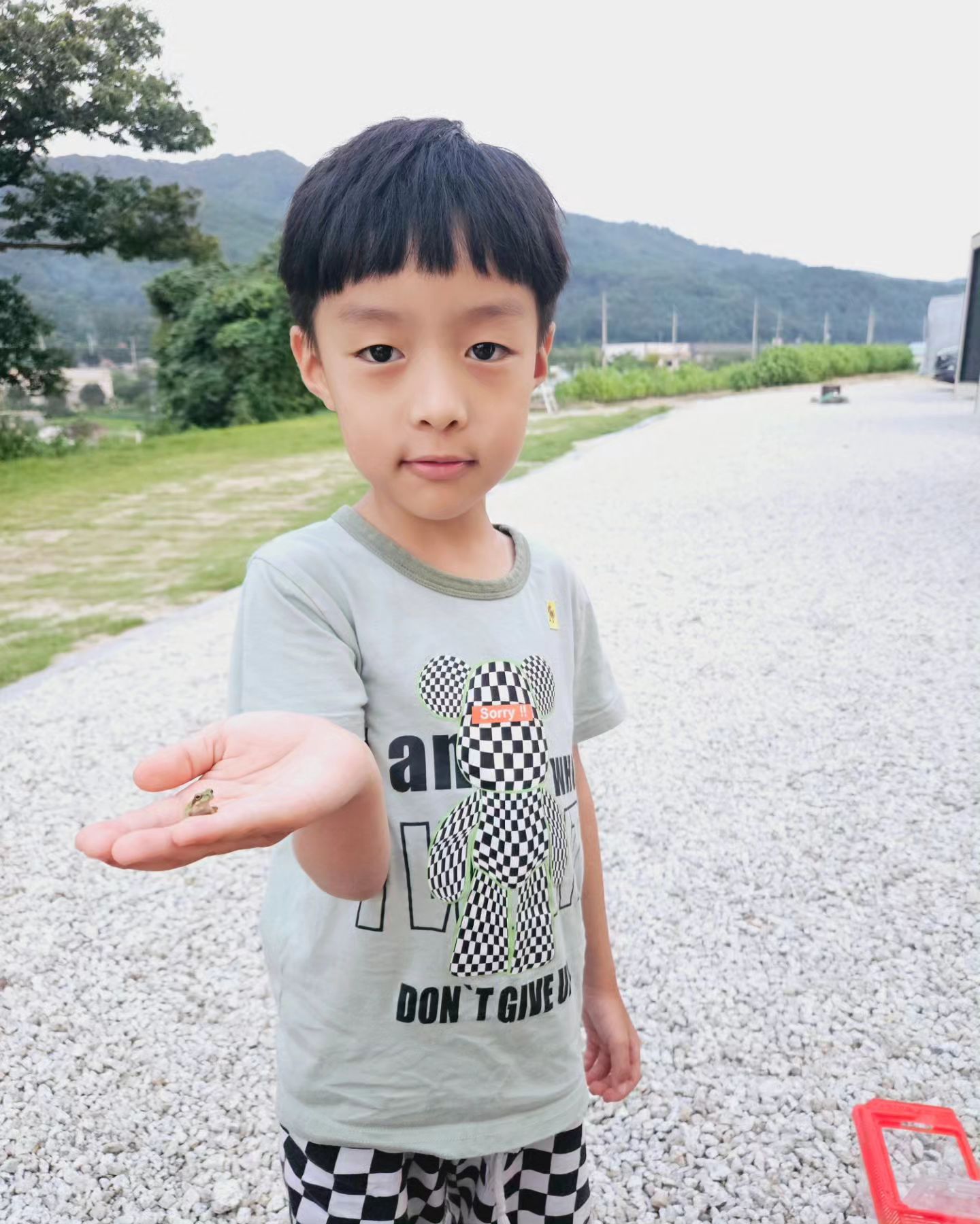 개구리도 맨손으로 잘 잡는 아들
엄마는 무셔ㅜ
조금만 뒤로 가줄래ㅋㅋㅋ
#개구리 #우리아들대단해 #엄마는못잡아