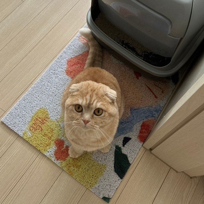 고양이모래매트, 가티가티 사막화방지매트