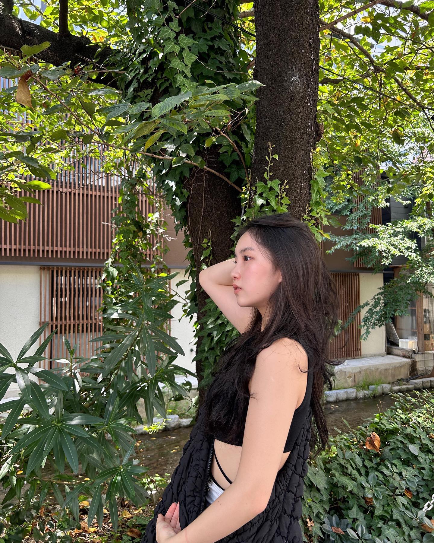🍥🍡