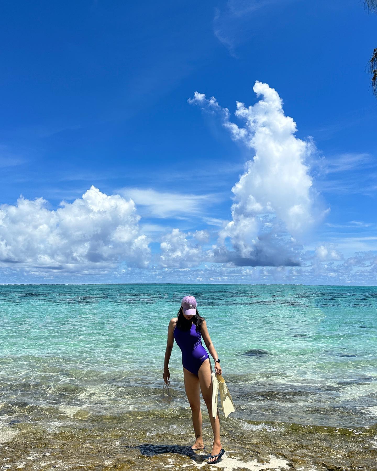 마나가하섬 🏝️💜🐠🐚🪸