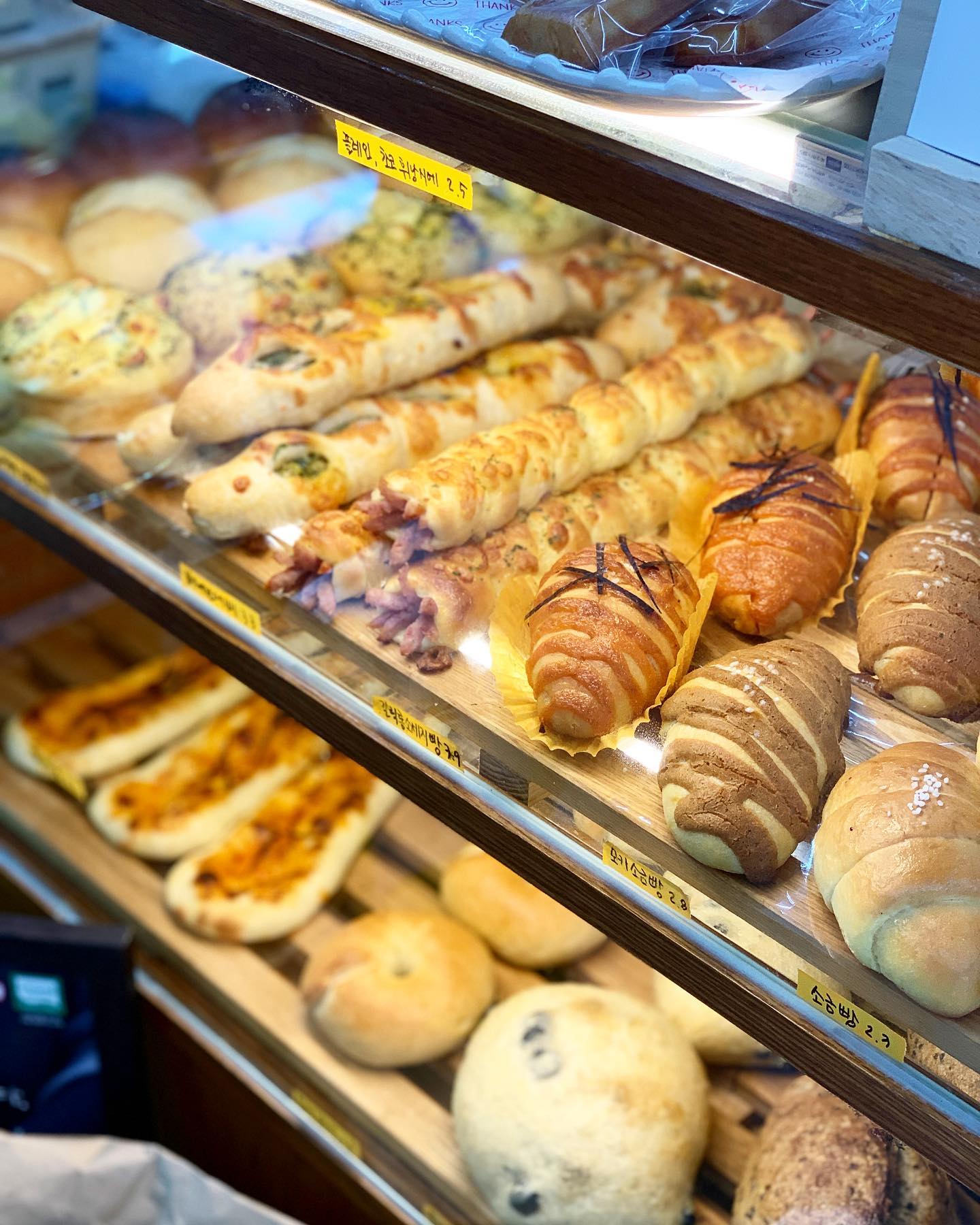 #망미동카페 #마들린느

여기 빵 넘 좋아해서 다시 찾아감🍞🥯🥐

이번에 나왔던 명란소금빵을 잊을 수가 없어서
다시 찾아가야 할 판😭😭

명란이 가득 들었지만 짜지 않고
버터향 가득한 명란소금빵 최고👍🏻💕

#망미동유기농빵집
#망미동베이커리카페
#부산카페#부산카페추천

.