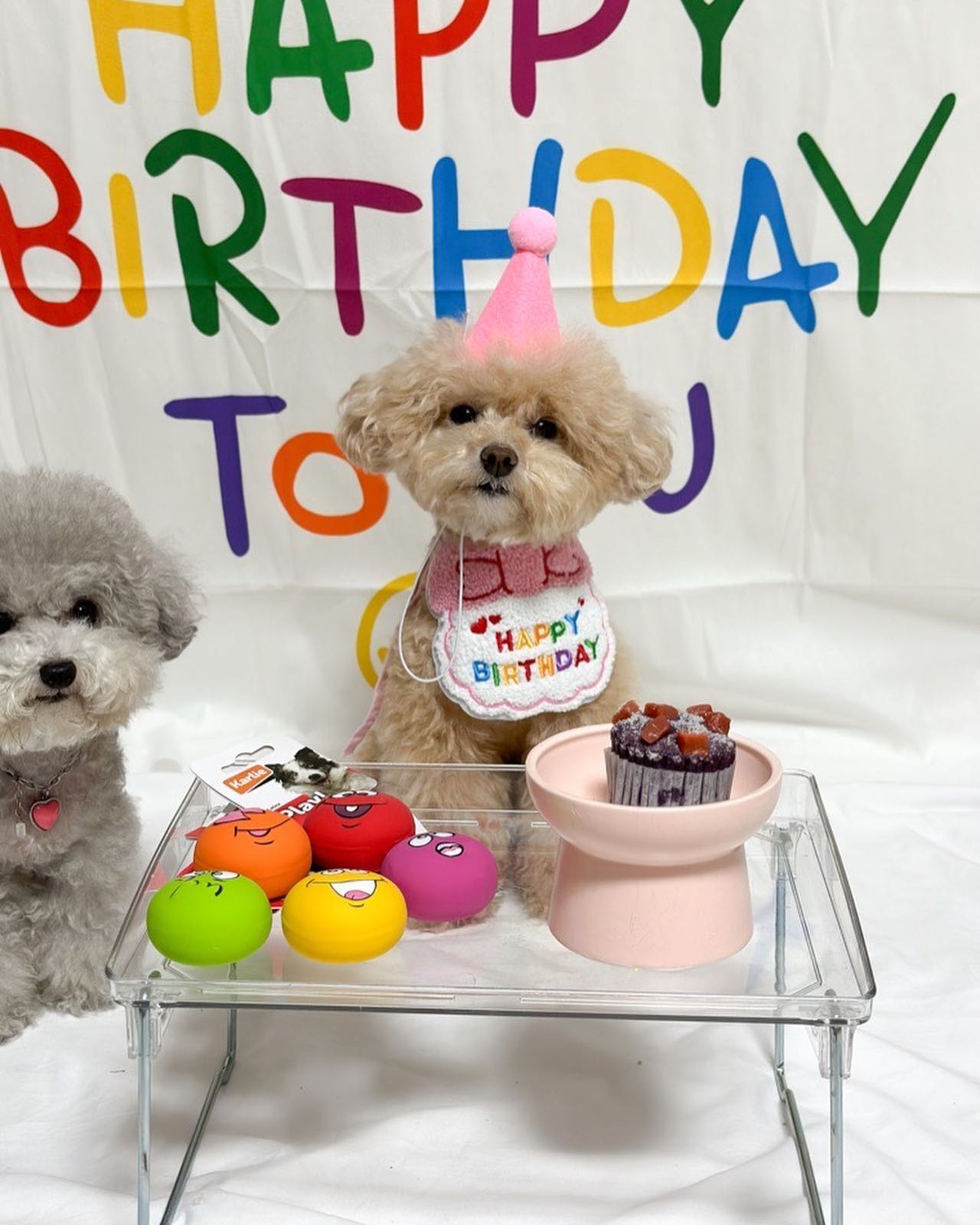 생일이라고 안끼던 썬구리까지 장착했더니
어디선가 풍겨오는 마동석st
#마스야넌거기왜있어