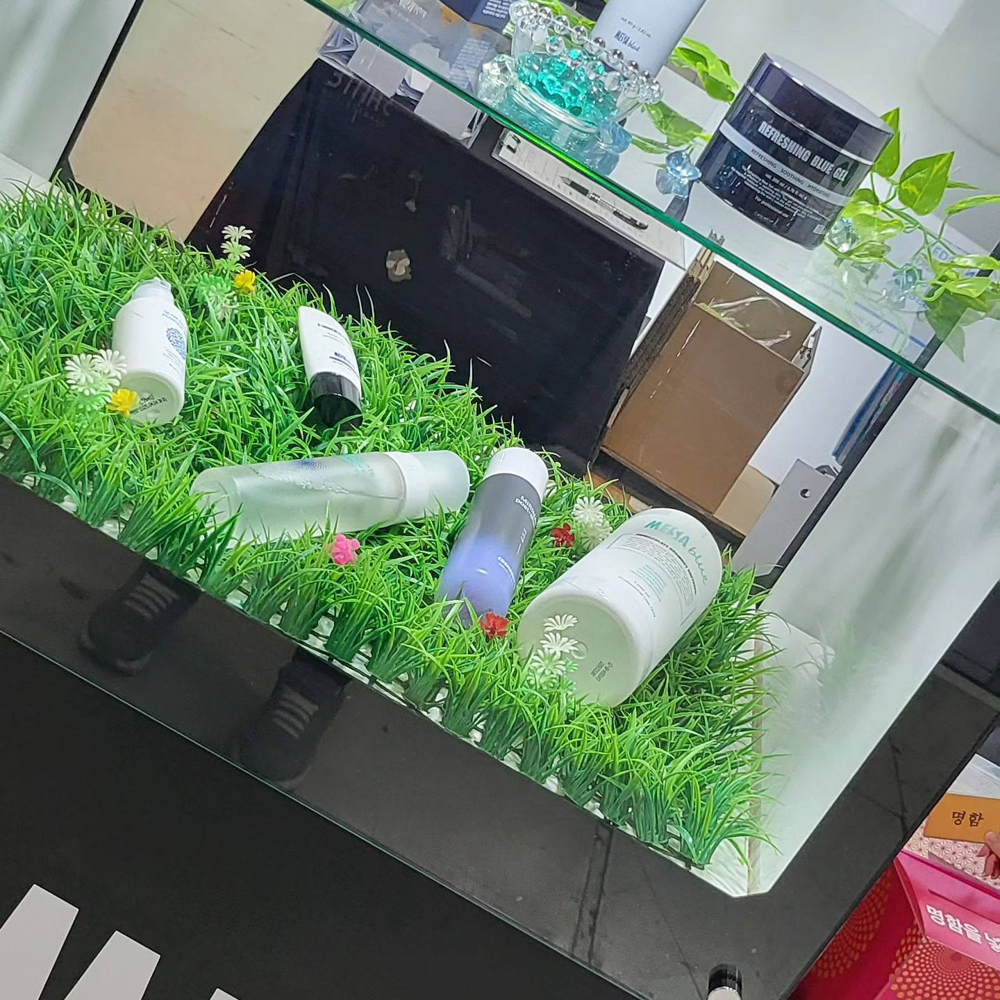 #메사블루