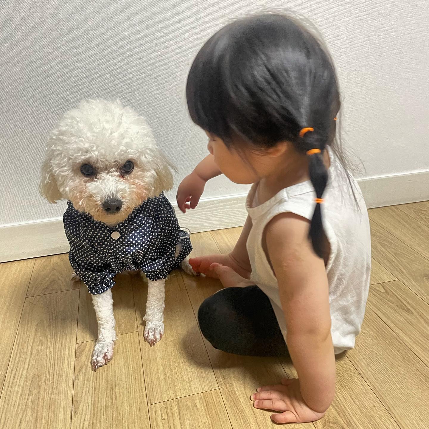 #애개육아 
👶🏻 잠깐 구석가서 나랑 이야기 좀 하자 
🐶 ㅎㄷㄷ