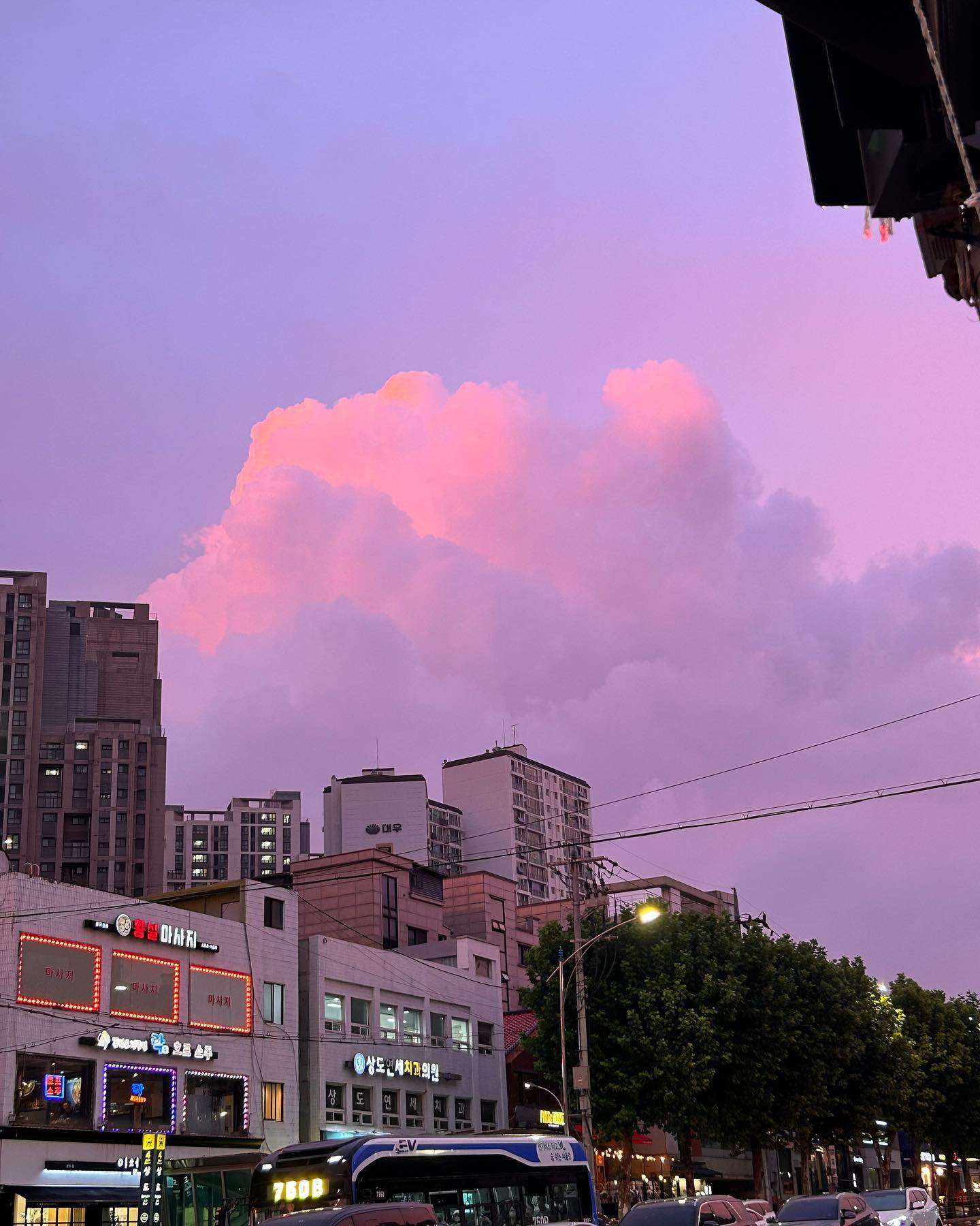 다 된 하늘에 나 뿌리기 🌈 🦋