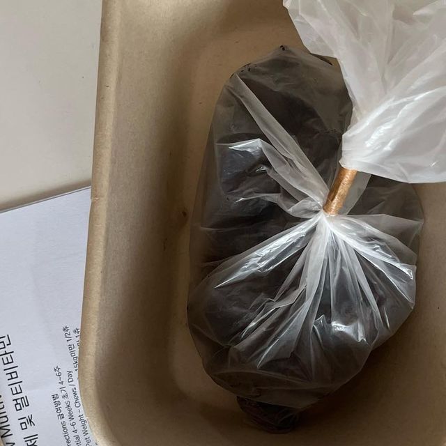 현듀 on Instagram: "#광고 멍,냥이들한테 필요한 필수 22가지 영양소에 황산화제까지 추가된 영양소!! 관절, 심장, 눈, 등 아주 좋다고 한다🐶 포장이 미흡해 놀라긴했지만 친환경을 생각해서
