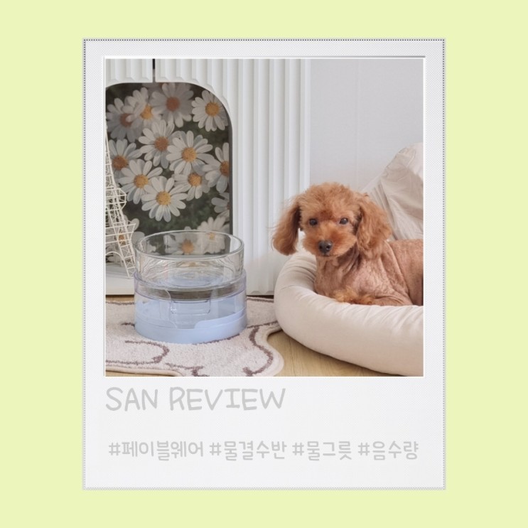 반려동물 물그릇 음수량 확인 '페이블웨어 물결수반'