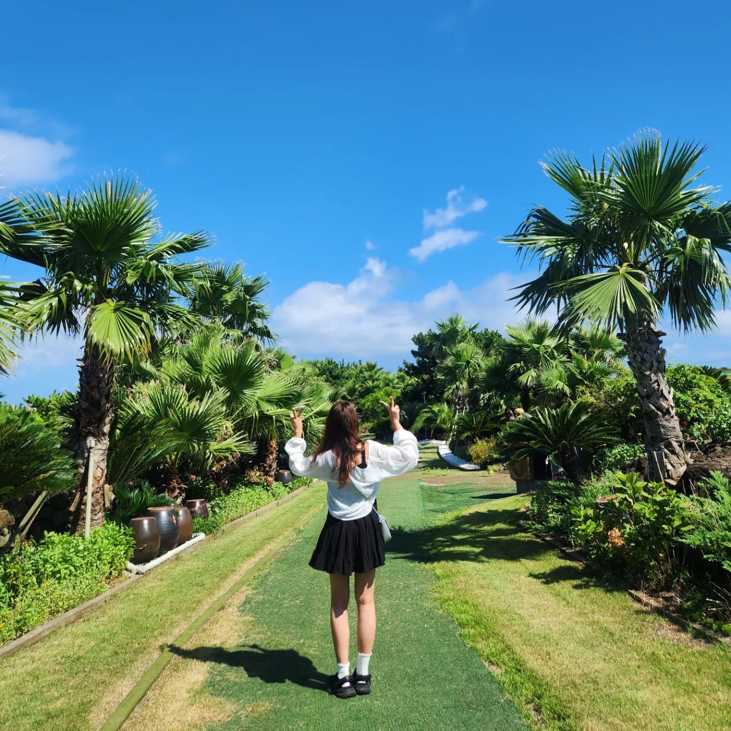 2023.08.04 #제주#여행
한 번쯤 가볼만한 곳#우도

📷
1~4. #우도정원 
5. 우도면 연평리 759-2
6. #제주소품관
7~8. #우도비양도