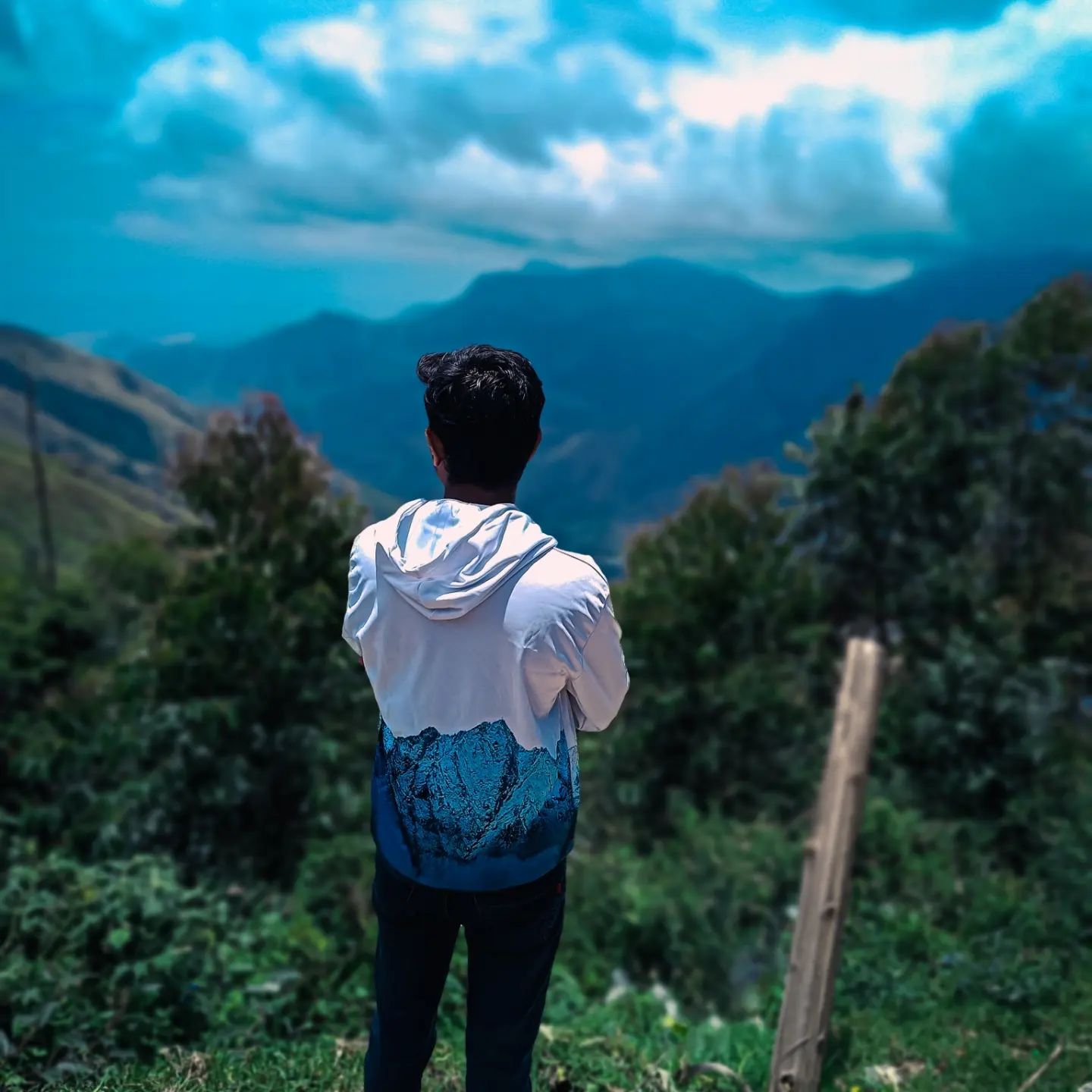 Let the nature talk ☘️

#likes #like #follow #likeforlikes #love #instagood #instagram #followforfollowback #followme #photooftheday #photography #bhfyp #instalike #l #instadaily #likeforfollow #picoftheday #fashion #beautiful #me #followers #smile #likeforlike #myself #followback #f #comment #followforfollow #likesforlikes #art