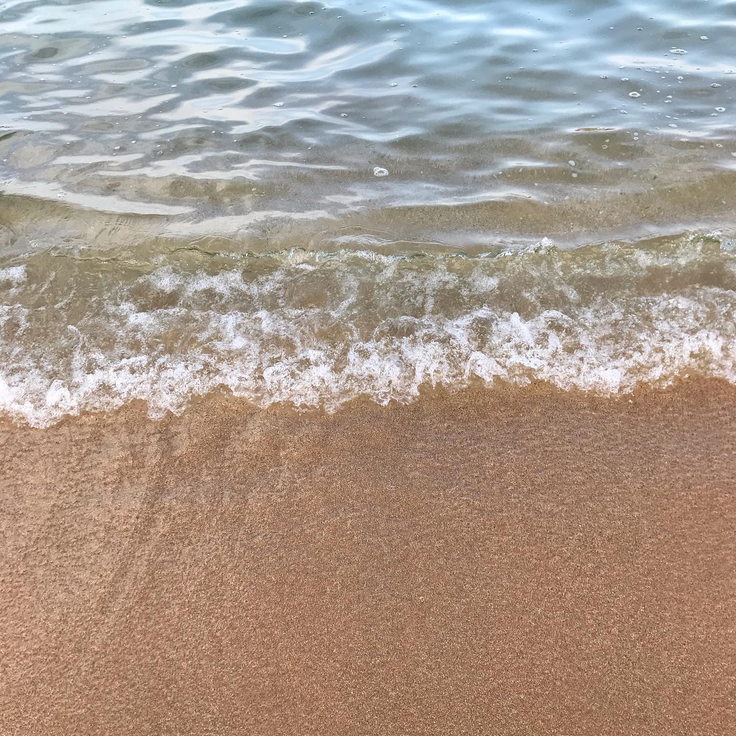 콘텐츠