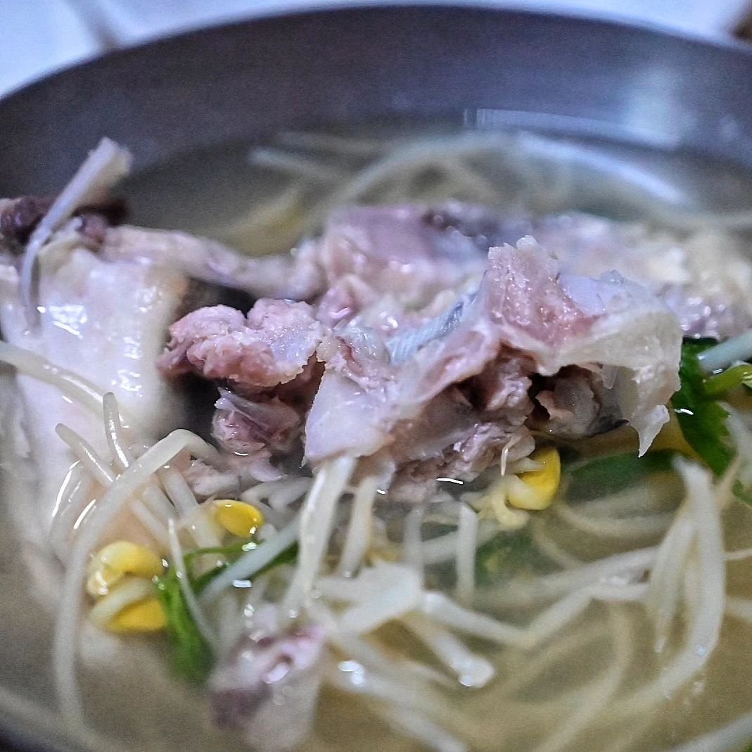 부산복어맛집에서 복어 먹기
서면 #돌고래할매복집
.
✅️매장위치
부산 부산진구 서전로10번길 31-9 부산진구 서전로10번길 31-9

🔴영업시간
매일 09:00~21:00
(매주 일요일 휴무)

☎️전화번호
0507-1344-2667
.
사장님께서 직접 비벼주시는 콩나물비빔밥🩷
15,000원도 안하는 가격까지⁉️
.
#서면맛집 #서면노포맛집 #서면한식맛집  #서면돌고래할매복집 #부산복어 #부산복어맛집 #부산복어맛집돌고래할매복집