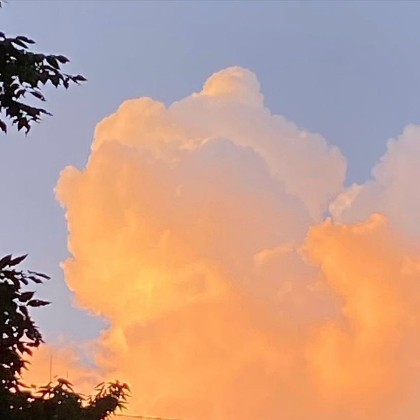 ⋆｡˚ ☁︎ ˚｡⋆｡