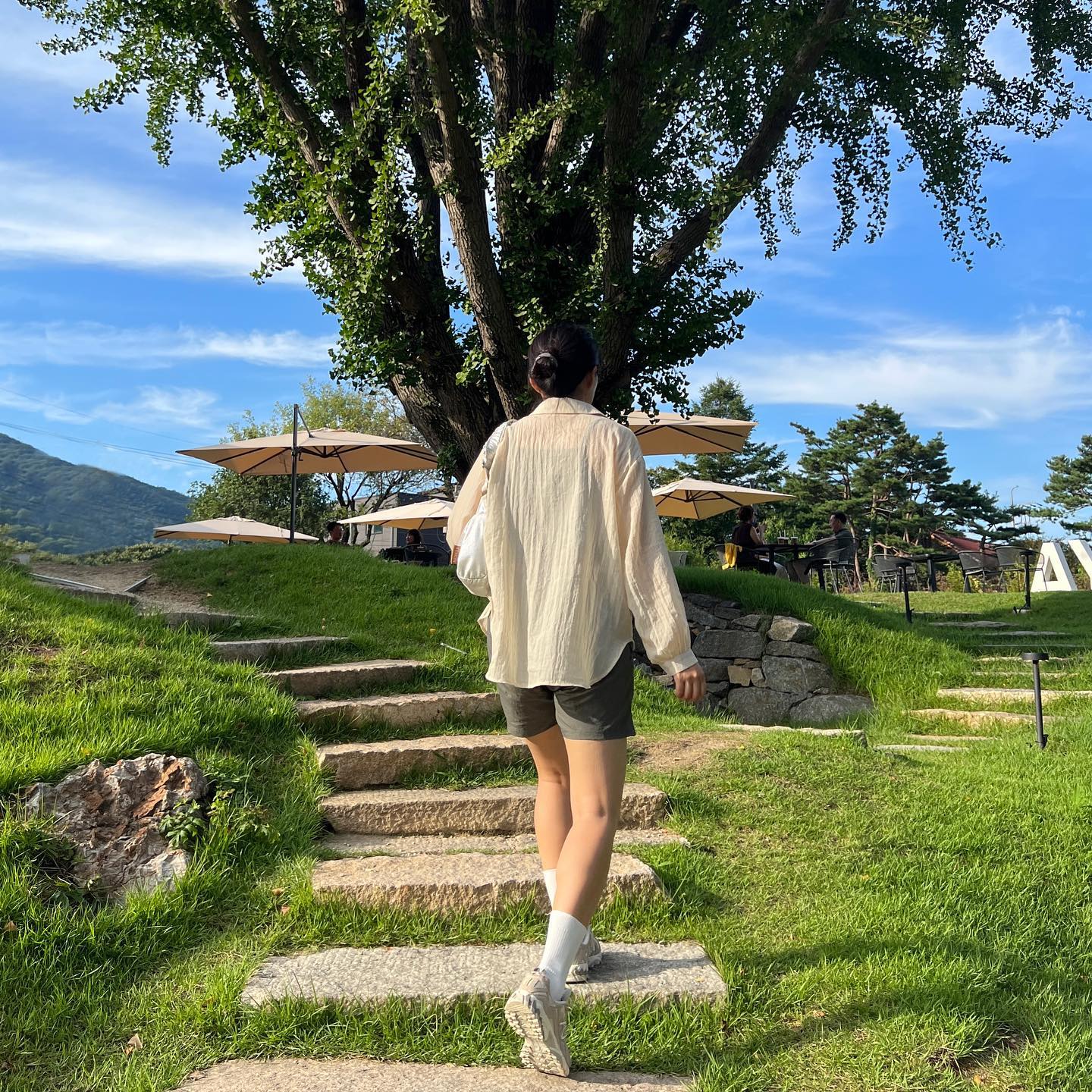 🌳☁️💛