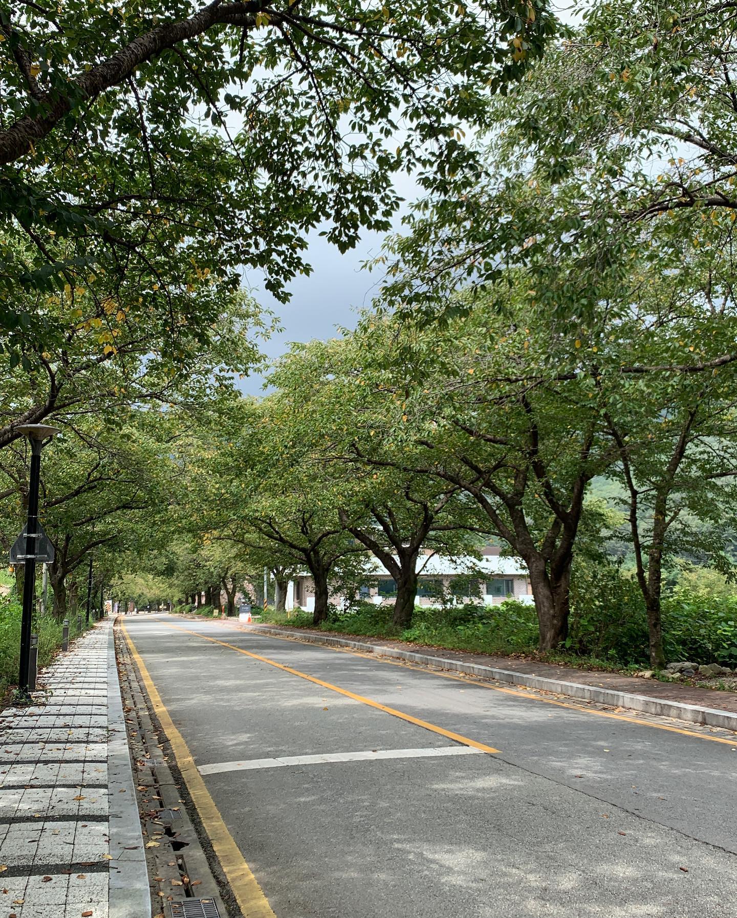 동학사 산책하고 흑돼지화덕구이
가을은 언제 오려나 

#동학사맛집 #동학사고깃집 #동학사점심 #동학사농원 #공주맛집 #흑돼지화덕구이
