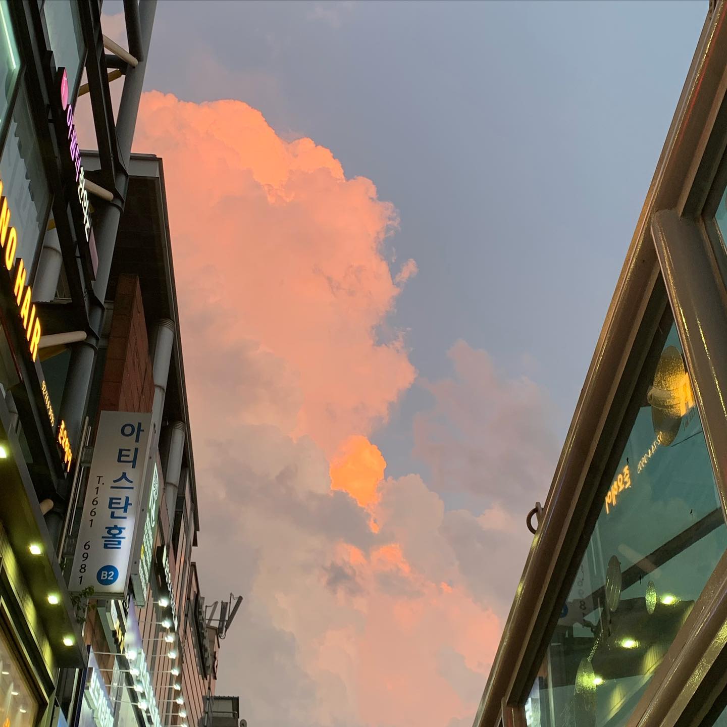 -
하기 싫은 건 하기가 싫다. 근데 해야 한다. 배부른 소리를 한다 내가. 두시간만 집중하면 되는게 하기가 싫다. 그리고 잡생각도 너무 많아서 잠을 못잔다. 긴장의 연속인것 같다.

속에서 공명이 계속 울린다. 마음이 비워져서는 아니고 욕심으로 그득해서다. 이타심이 많은 날도 있고 이기심이 가득한 날도 있다. 블로그에 주절주절 글을 써두지만 가독성은 인스타가 더 좋은 것 같다. 애초에 클릭 한 번 해서 들어와서 봐야하는 블로그 보다 인스타가 유입이 좋기도 하고.

지난 번 게시물에도 썼던 말이지만 나이든 마음이 느껴진다. 썩 유쾌하지 않다. 나이든다는게 싫은 건 아니고 그냥 자꾸만 잃는게 많아지는 듯한 느낌이라 그렇다. 어제도 버거를 먹었고 오늘도 버거를 먹었다.

오늘 하늘은 정말 예뻤다. 근데 내 속은 안예뻤다. 나뿐인 생각을 하고, 고통에 빠질 상대 생각은 하지 않았다. 이게 회개로 될까 나아가질까 의문이 들었다. 복잡한 생각을 안하려면 더 복잡한 걸 하면 된다고 한다. 마침 나는 수업준비를.. 정말 해야되고 내일은 두시간 씩 두 번 연강이 있다. 웃으면서 수업하는 것도 에너지가 들 것같다.

그래도 아무것도 하지 않는 것 보다 나아진 것 같다. 몸은 괴로워도 학습자에게 내가 직간접적으로 도움이 된다고 생각하니 기쁨이 있다. 언젠가 한국을 훌쩍 떠날지도 모른다는 생각을 한다.

그리고 안정적인 삶에 대해서도 생각한다. 생각이 너무 많다. 술을 한 잔 기울이면서 준비를 해도 될까. 병원에서는 염증때문에 술을 먹지 말라고 했지만 머리 맡에 있는 캔맥주 두개가 아른거린다. 아직 목이 다 낫지 않아서 망설이게 되기도 하고.

나도 선의로 무엇을 나눠 줄 수 있는 사람이 되고 싶다고 생각한다. 그러기 위해선 여유가 있어야 한다는 것도. 좋아하는 사람들의 생일이 많은 구월이다. 한 사람 한 사람 마음과 정성을 다 보여주기 어려운 것도 참 아쉽다. 좋아하는 마음들이 다 전해지면 좋겠다.

말도 안되는 얘기. 오늘 시를 쓰면서 본다->열람하다로 고쳤다. 내가 생각을 더 하지 않아서 그냥 쉽게 넘어가는 부분들이 나도 참 아쉽다. 시는 여전히 내게 가장 재밌는 파트고 잘 해내고 싶은 일이다. 문창과를 나온다고 해서 당장 먹고 살 수 있는 방법이 떨어지는 건 아니지만 좀 더 세상을 아름답게 만들 수 있을 거라는 생각을 한다.

문학은 언제나 질문을 던진다. 그 질문으로 인해 세상은 골몰하고 더 나아간다. 나의 성장에도 좋은 영향을 미칠거라는 생각을 한다. 영원한 건 없다고 또 나는 새로운 무기가 필요하겠지. 순수할 수 있다는 건 축복이야. 여전히 순수하고 싶어. 

내가 가진 것들에 만족해야 하는데 자꾸만 배부른 소리를 하게 된다. 우월감을 느끼고 싶다는 얘기는 아니지만 정말 잠실로 교회를 다니면서 좋은 사람들을 만났고 응원과 사랑을 많이 받았다. 이것도 정말 감사한 부분. 은혜아닌게 없다.

그런데 나는 은혜의 자리를 정말로 사모 하는가. 매일의 선택이 주님께 영광돌리는 일에 있느냐 이말이다. 나는 연약하고 무너지고 힘이 없다. 그래서 더 의지 하게 되는데 이것도 축복이라고 생각해. 좀 더 바르게 살고 싶어. 바르게 산다는 것. 평범하게 산다는 것. 그게 뭘까.

블로그에도 올렸지만 이세상은 미친놈 투성이고 나도 그 미친놈 중 하나라는 생각이 떠나지 않는다. 세상을 신뢰 할 수가 없다. 나는 문제작을 만들어 낼 수 있는 사람인가. 문제를 만드는 사람인가.

나는 일단 미친놈이 맞다. 끼리끼리라는 말은 보통 욕으로 쓰이는데 내 주변사람에게 안좋은 영향을 주고 싶지 않으면서도.. 내가 이런 나쁜 생각을 하고 있다는 걸 말해주고 싶은 배설욕이 차오른다. 

자연보고 감탄하기, 아름다운 세상에 경이로워 하기 이런생각만 하면 좋을텐데. 뭘 봐야 할지 모르겠다. 대부분 이럴때는 말씀을 봐야 하고 아름다운 시들을 읽으면 좋아지긴 함. 근데 진정으로 내가 회개 할까? 후회 할까? 아니면 후회 하지 않을까? 나는 정말 아픈 걸까? 병으로 진단받았지만 꾀병부리는 거 아닐까? 뭐 이런 생각. 인간은 누구나 그래요. 라는 말을 듣고 싶다가도 인간은 생각하기 때문에 더 나아질 수 있어요. 라는 말을 듣고 싶기도 하다.

나는 공명한다. 이 말로 시작하는 시가 곧 나올것 같다. 공명, 공명, 공명. 뜻이 참 많은데 어떤 공명일지는 모르겠다. 다 지나갈 걸 알면서도 나는 여전히 아무것도 책임지기 싫다.

그래 나는 잃을 게 많은 사람이다.
가진게 많은 사람이라고 생각하고 살기로 했다.