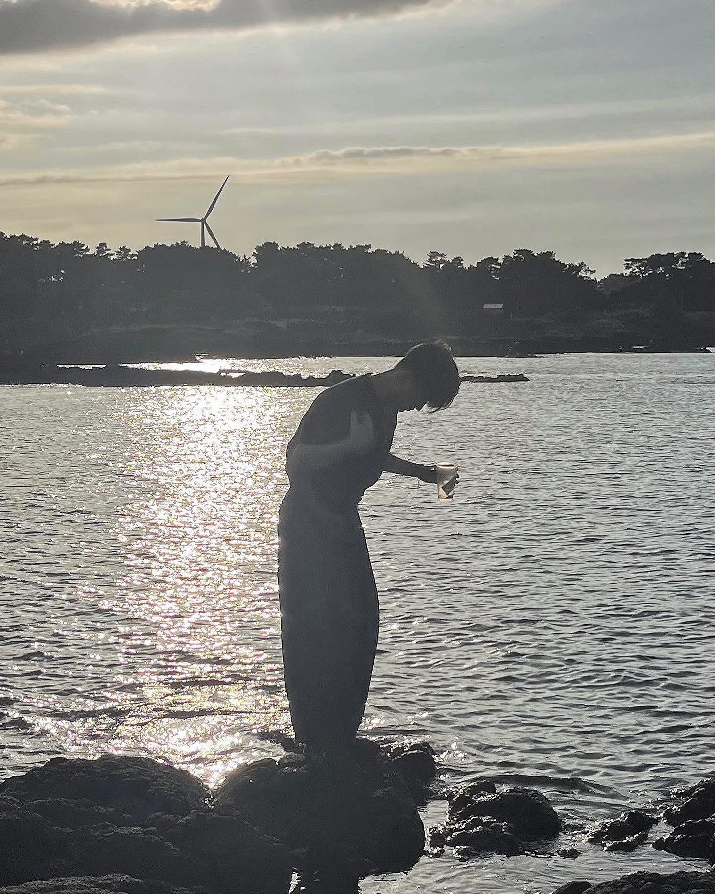 제주도 재주도 좋다