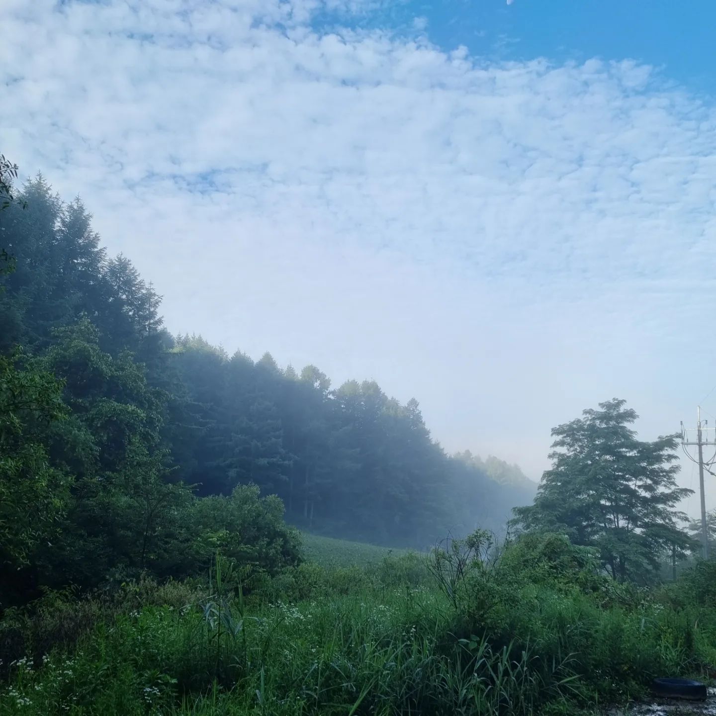 안녕하세요 👋 

믿고 먹는 꿀농장
조은마음농장입니다.

2023년 생산된 
천연꽃꿀 6가지의
🍯 품질 결과지를
받았습니다 ^^ 

야생화꿀은 
2022년산입니다. ^^

모두 다 프리미엄 꿀 기준인
-24.5 퍼밀 수치 미만의 
품질 좋은 천연꿀입니다.

양봉을 접는 분들도 계시고,
취미로 하면 좋겠지만
취미도 쉽지 않은 꿀벌 키우기.

점점 더 어려워지고 있어요 🥲

그럼에도 꿀벌들이 꼭 필요하니까
오늘도 사업계획서를 냅니다.

저는 작년 가을부터 좋은 일이 
마구마구 생기고 있어요 ☺️

그런데 더불어 힘든 일도 있으니,
위기를 기회로 대처하는 방법도 필요합니다.

추석 선물 단체납품은
10세트 이상 할인 적용,
미리 주문주시면 원하는 날에
픽업, 배달, 택배 가능합니다. 💕

9월 20~21일 타지 출장으로
픽업, 배달이 어렵습니다.

충주 호암동, 산척면에서
직접 구매하실 수 있어요.

우륵문화제 행사장 귀농귀촌 부스에서
2.4kg 천연꿀 구매도 가능합니다.

저희는 부스에 없지만 
산척농원을 찾아오세요 🤗

우리의 🍯 농장 홍보대사님
꿀벌들을 사랑하는 쌤 ~ 
항상 응원해주셔서
kyurimii 고맙습니다. 

오늘 🐻 곰돌이 꿀 세트 배달하고,
어제 라방에서 주문받은 📦 보내드렸어요. 
그리고 프리미엄 꿀 포장 작업!

주문문의
 010.5711.4884