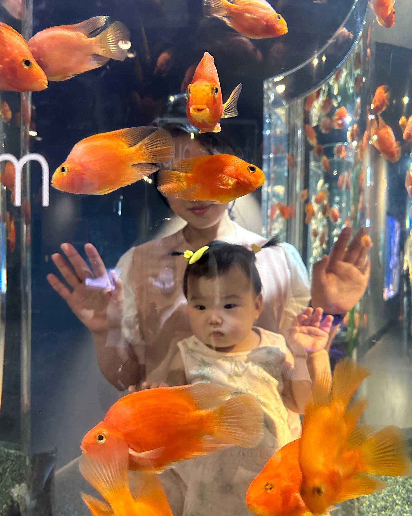 D+267❄️
.
.
이모들이랑 첫 아쿠아플라넷 
아직 물고기를 모르지만
나름 신기하게 구경한듯..??

엄마는 물고기들이 자체 모자이크처리

이모들이 신나게 놀아줘서 그런지
빠이빠이하고
19:30분에 꿈나라로 입성

이모들 고마워 😘😘

.
.

#이모들고마워요 #생에첫 #아쿠아리움 #광교 #아쿠아플라넷 #아쿠아플라넷광교 #꿀잠예약 #❤️ #baby #호랑이띠 #호랑이맘#초보맘 #딸맘 #도치맘 #육아소통 #일상기록 #육아스타그램