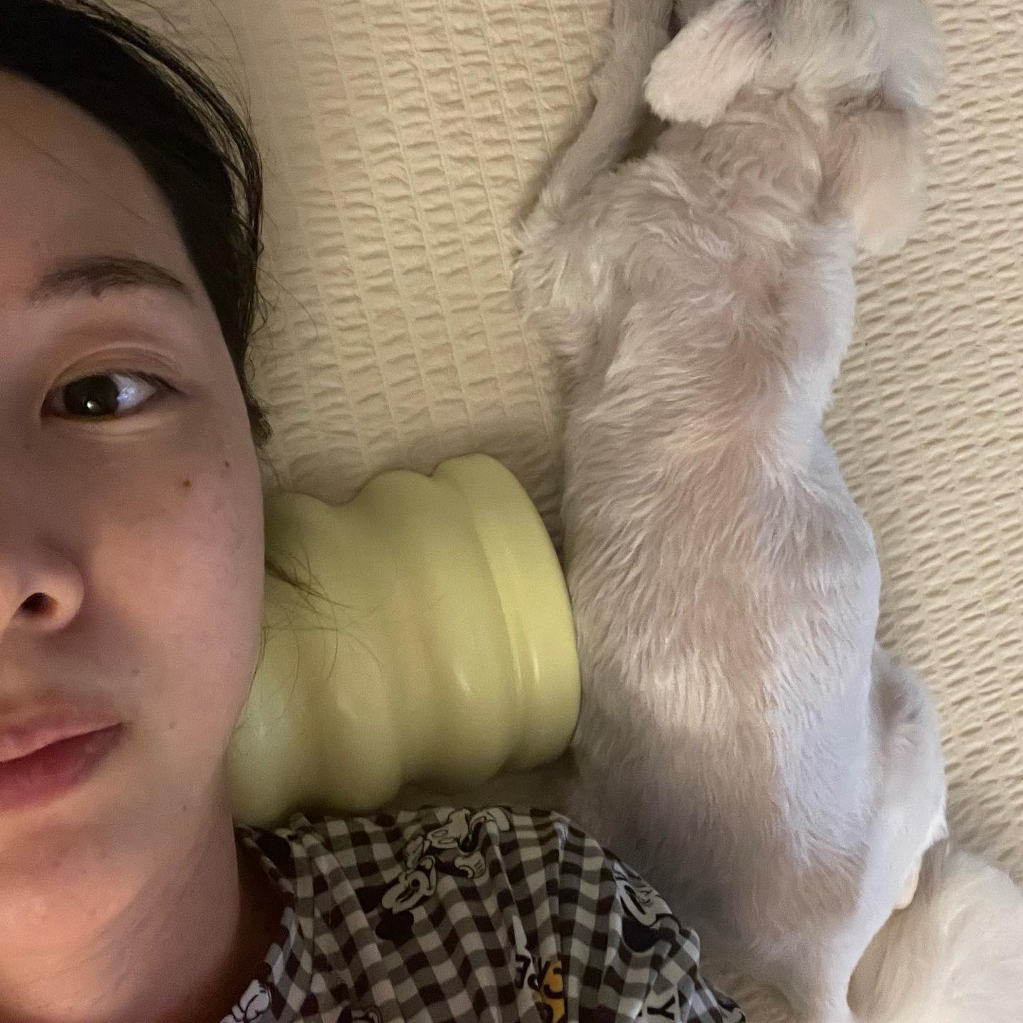 육퇴후 쑤시는 어깨 풀면서 오랜만에 또또랑 오붓한 시간🐶 또또야 오래 기다렸드아 🥹
고생이 많아...🤣🫶🏻🫶🏻

아이고 삭신이야......🫥