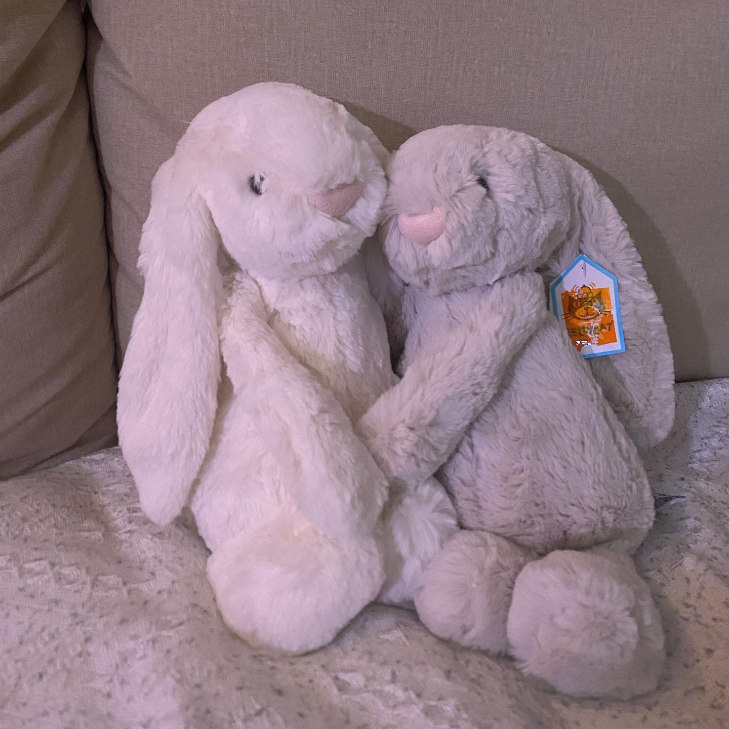히히 애착인형으로 유명한 젤리캣 버니
얼마 후에 만삭 사진 찍을 예정이라 준비했어요🐰 

크림컬러랑 실버컬러인데 조금 더 화사한걸로 준비할걸 그랬나 싶기도 하네용
넘 귀여웡..❤

#임신기록 #임신25주 #남매둥이 #임산부일상