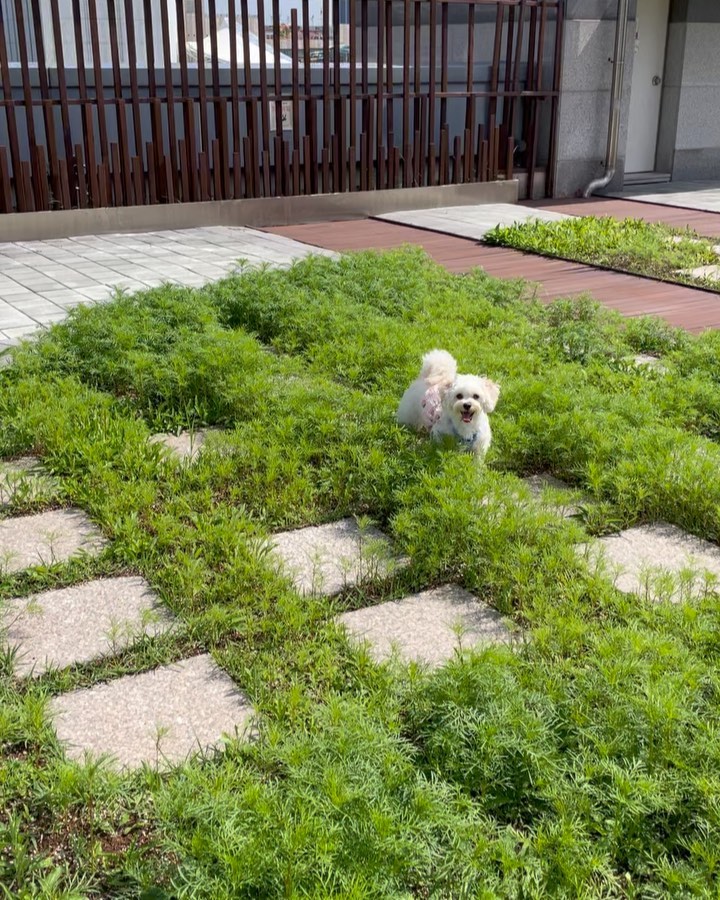 바람과 풀밭만있으면 오디든 갈수이떠 😌🍃💗