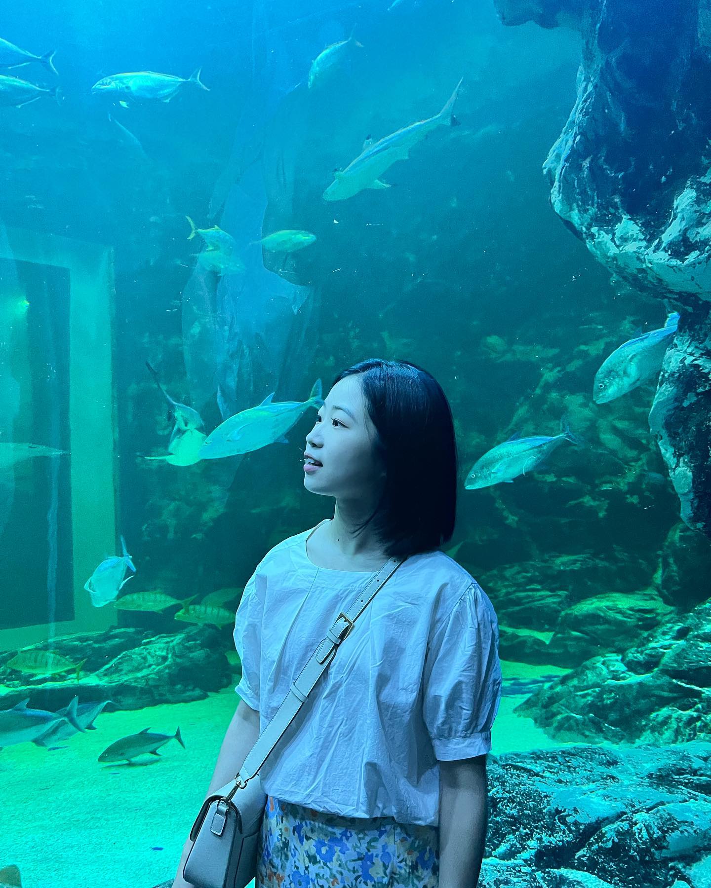 🐠