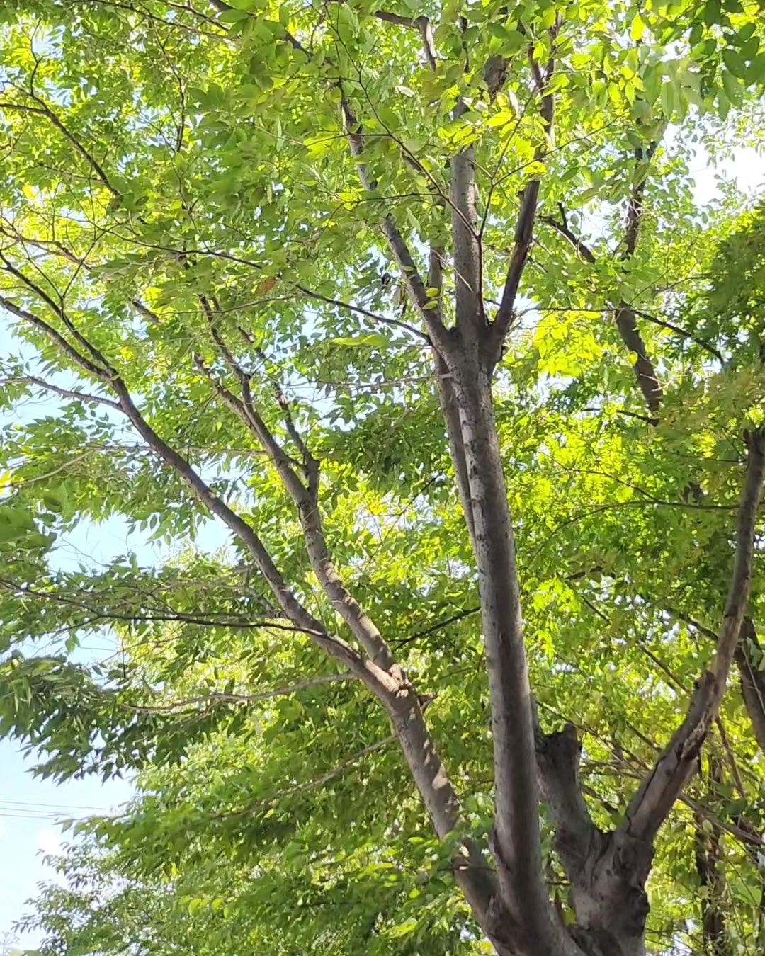 혼잣말이라도 괜찮으니
잘했다고, 자랑스럽다고,
잘하고 있고 수고 많았다고,
언제든 자신에게 말해주는 것.

나의 몸과 마음이
탈 없기를 진심으로 바란다면
누가 뭐라 해도
나만큼은 내 편이 되어줘야 한다.