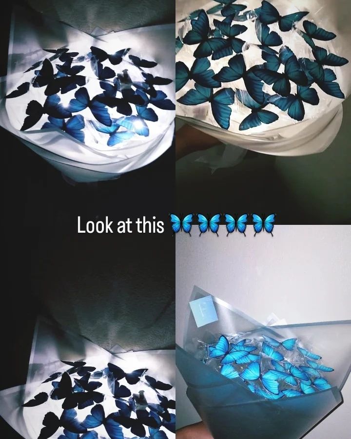 🦋
.
.
.
.
.
.
.
.
.
.
.
.
#butterfly #butterflies #bouquet #bouquets #trending #trendy #trend #beauty #gift #giftideas #gifts #giftsforher #changed #egypt #brand #decor #decoration #flowers