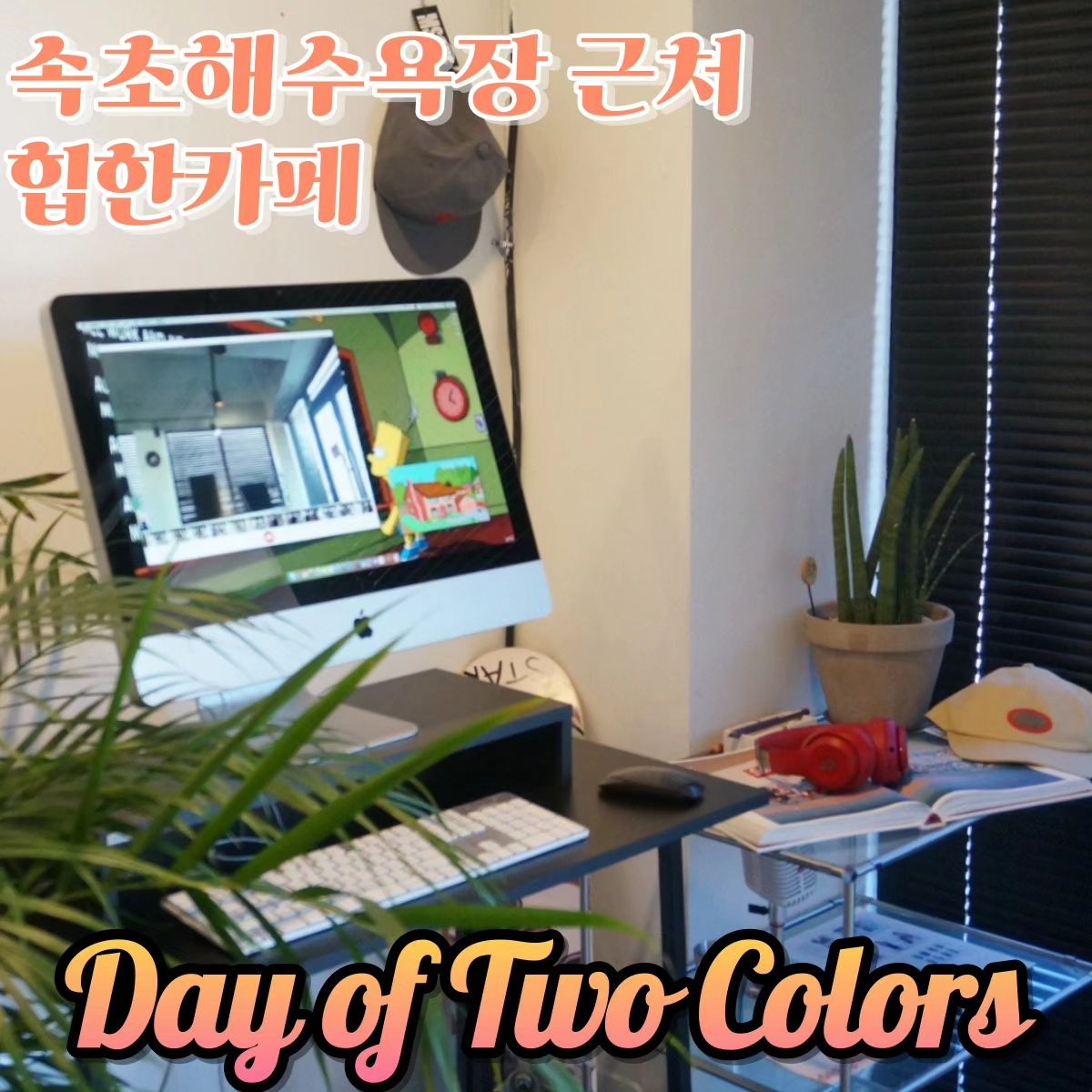 ☕️Day of Two Colors 데이오브투컬러스
속초해변 근처에 있는 세상 힙한 카페✨️
귀여운 강아지 큐리가 상주중ฅ•ω•ฅ

• 힙하면서 아늑한 분위기
• 아인슈페너&뉴욕롤 맛집
• 속초아이에서 도보 8분
• 자세한 후기는 블로그에💚

🐶 반려동물 동반가능 

🚗 주차 - 가게 앞 도로변에 가능

🕛 영업 시간
매주 목요일 정기휴무
12:00 ~ 20:00 (라스트오더 19:30)

📍주소
강원 속초시 청호로4길 34-14

*무료제공 #다소니_속초 #속초카페추천 #속초카페 #속초애견동반 #속초애견동반카페 #힙한카페
