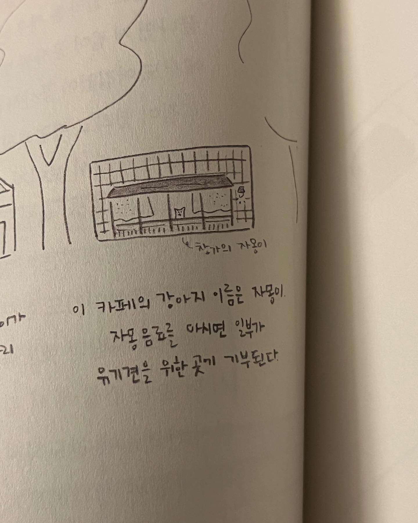 콘텐츠