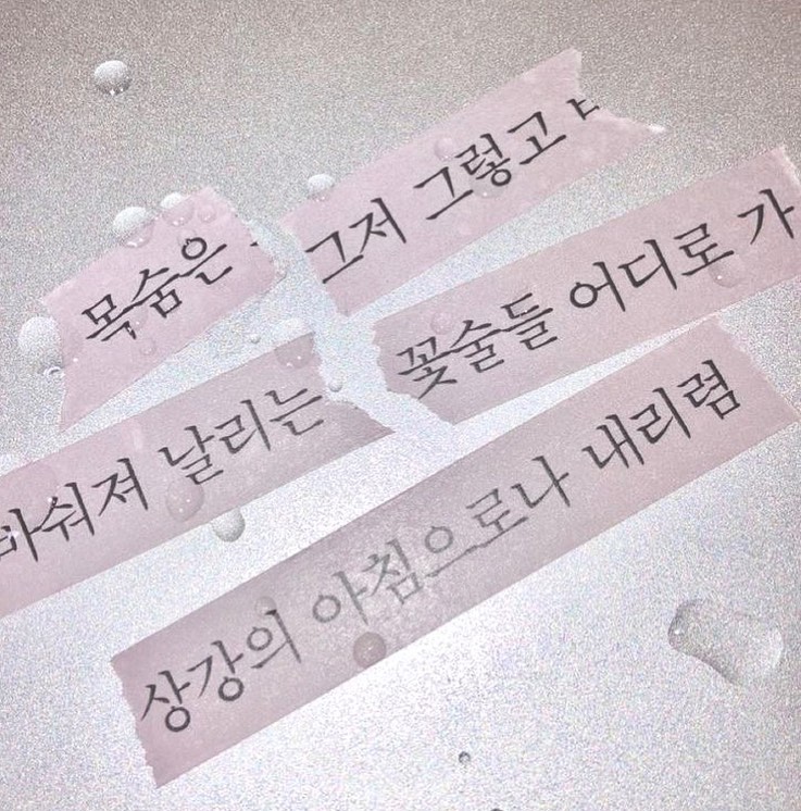 콘텐츠