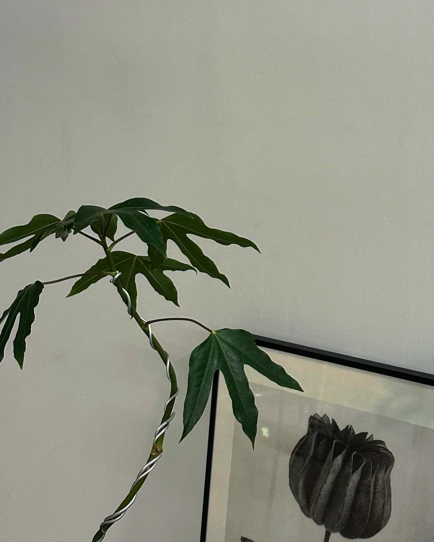 💚