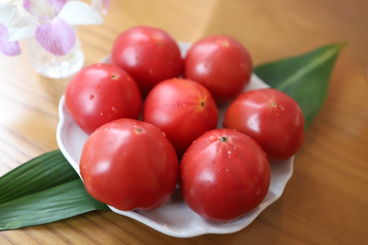 대저 짭짤이 토마토 한번도 안먹어본맛!