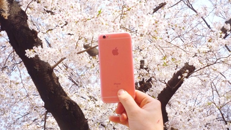 아이폰6S 슬림 하드케이스 추천! / 미국대장스토어