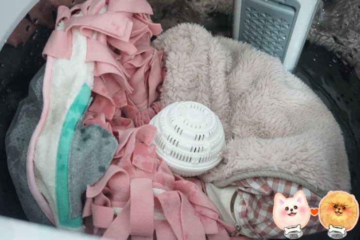 데이포유 런드리볼 - 세탁세제 없이 깨끗하게 빨래하기