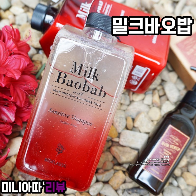 향기 좋은 천연계면활성제 샴푸 로즈향에 취했다