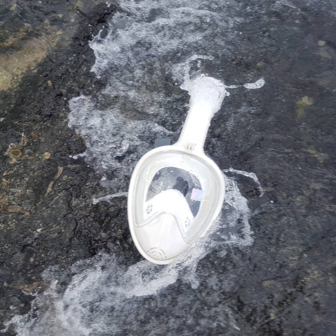고고제인 on Instagram: “이번 제주도여행에서는 바다에서 물놀이했당!! 수심이 낮아서 스노쿨링을 완벽하게 할 순 없었지만 물놀이엔 필수품!!! 🏊😆 . . 전통있는 홍콩 수상레저 브랜드 #더나이스 #전통브랜드 고유 라인업 보유로 선택의 폭이 다양해져 합리적인 가격에 기능성까지…”