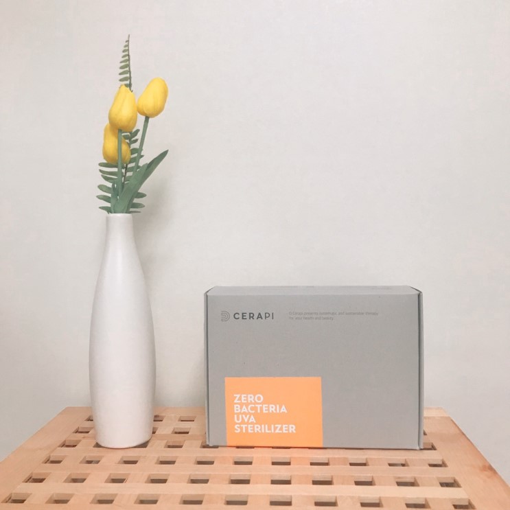 디세라피 제로박테리아 UVA 살균기로 인테리어효과까지!