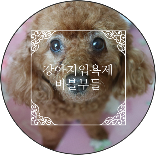 강아지 입욕제 :D 버블부들 천연 아로마 강아지 입욕제 탄산스파.