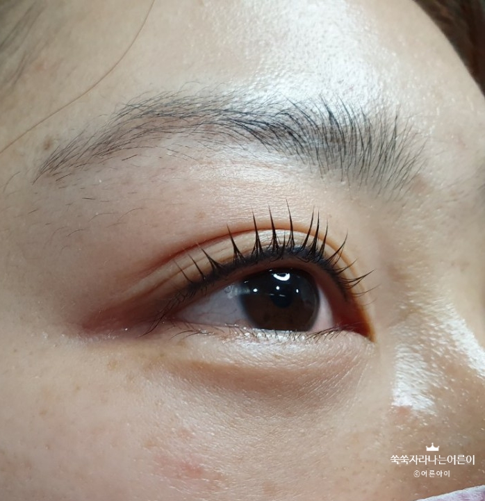 덕천동 속눈썹펌 잘하는 썸뷰티 다녀왔어요