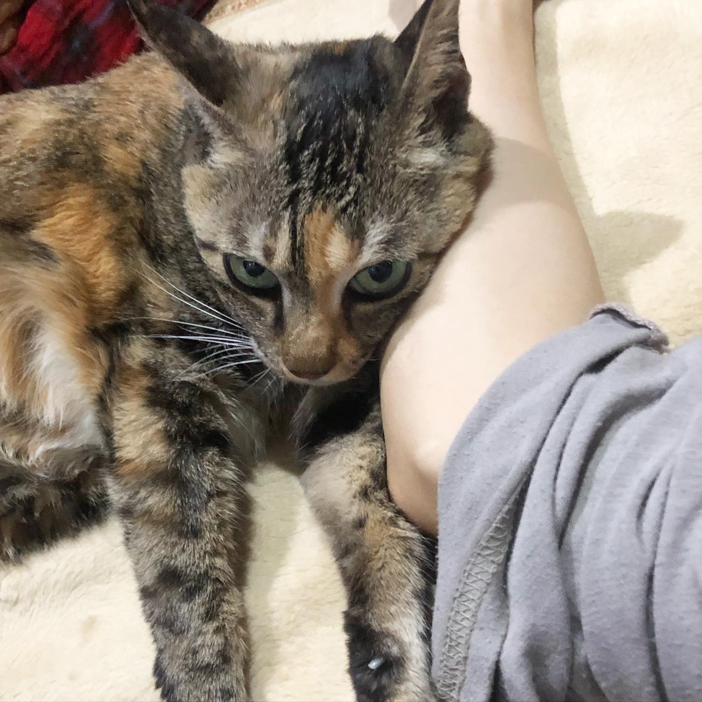 프리티♥️