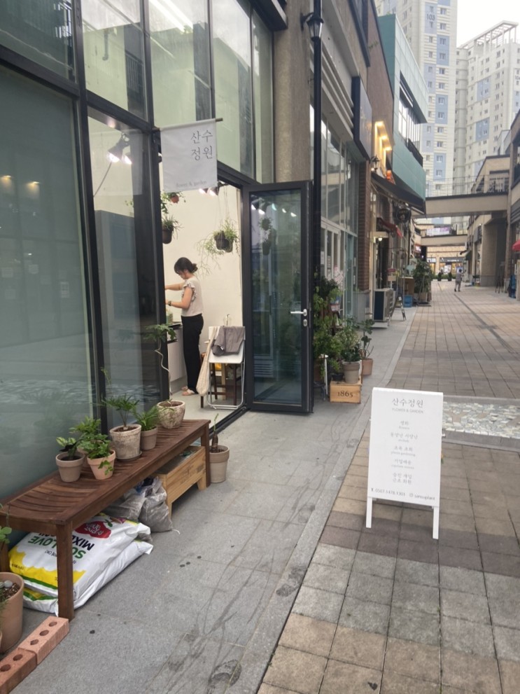 [위례일상] 새로생긴 꽃집, 산수정원