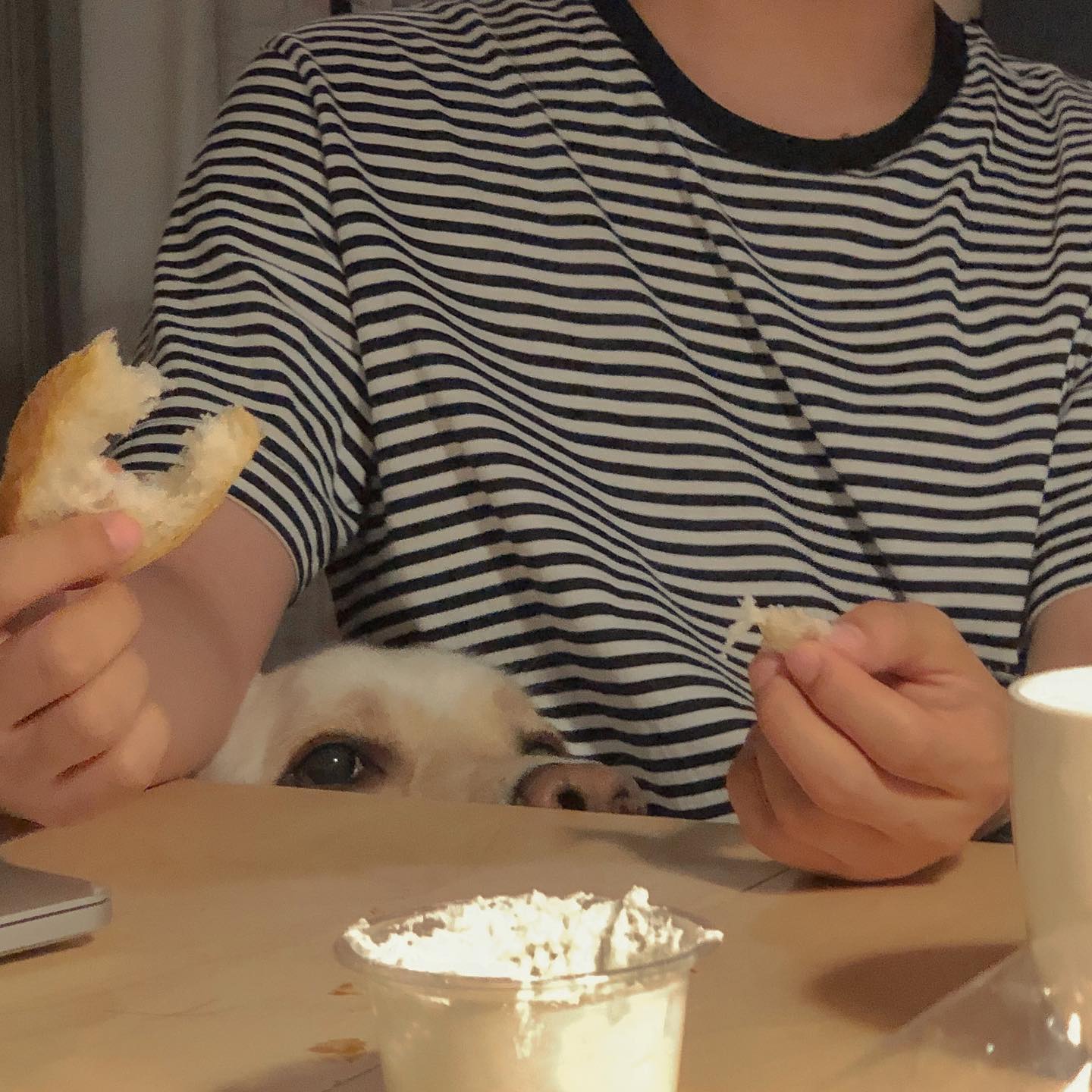 식탐 많은 내 동거남