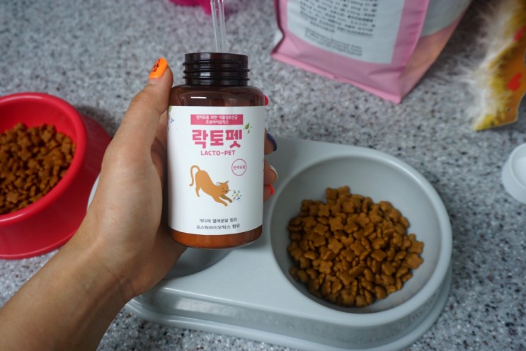 고양이설사에 좋은 고양이유산균 추천 :: 웰빙엘에스 락토펫