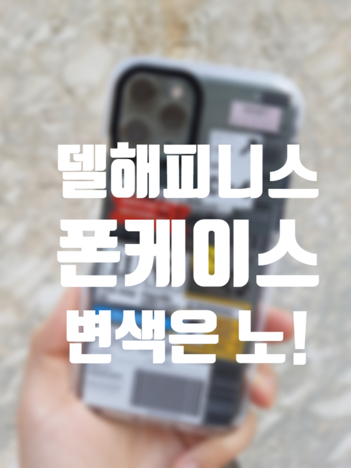 언택트 시대에 델해피니스케이스로 여행가는 기분 내기:)