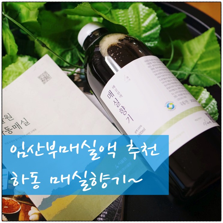 맘스윙 임산부매실액 건강까지 생각하며 즐기는 매실액기스