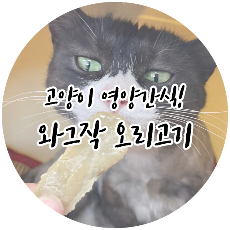 고양이 영양식 와그작 수제간식 고양이는 고기를 더 좋아해