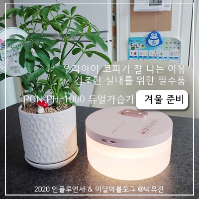 가을, 겨울 코피가 잘나는 아이 [PON] 듀얼 미니가습기 PH-D1000 로 건조한실내 촉촉하게 만들기