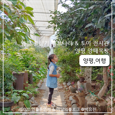 [ 양평가볼만한곳 ] 양평여행  풀향기허브나라&토이 전시관 ,양떼목장