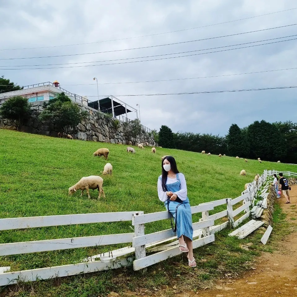 🐏🐑🐏🐑🐏

 
 
 
 

#여행 #여행스타그램 #셀스타그램 #좋아요테러 #첫줄반사 #좋테 #좋아요반사 #팔로우 #인친 #인친환영 #선팔 #얼스타그램
#셀피 #데일리 #소통 #일상 #맞팔 #좋아요 #좋반 #창원 #진영 #남해 #양떼목장 #남해양떼목장편백숲 #상상양떼목장 #liker #likeforlikes #fff #followforfollowback #selfie